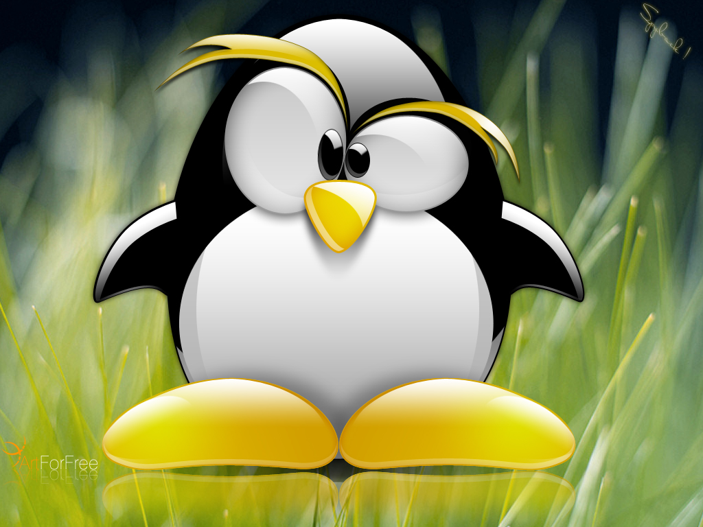 linux1