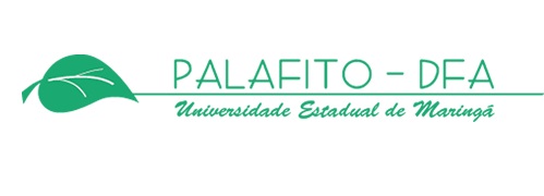 palafito.jpg