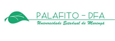 palafito.jpg